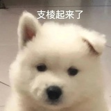 羟甲基胞嘧啶