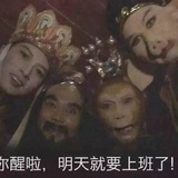 爱筑巢的隼