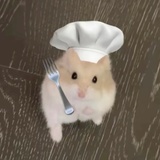 再也不搞男同了