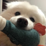 今日咸鱼