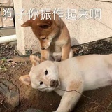 江湖拼字