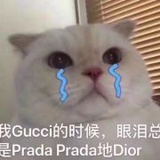 今天吃香菜了吗