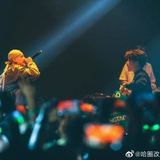 多肉杨梅