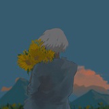 一些星辰与流石