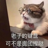 开水煮菠菜鸟姐