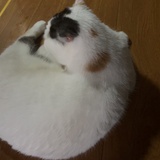 今天你呼吸了吗_