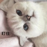 落水之神
