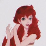 我与流浪小猫们