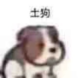 香菇达咩