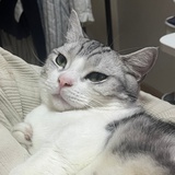 张子期