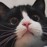 :)