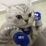 XUAN