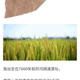 国乐乐