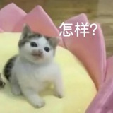 淮南牛肉汤专送