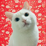 YyBrick