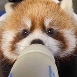 单词背完了吗
