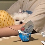 🍉