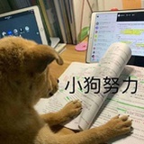 吃个锤子