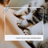 软绵小太阳