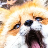 出太阳晒被子了
