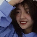 阿维