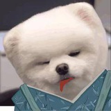 师太许老四