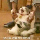 心愿是暴富🙏🏻