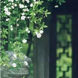 一粟