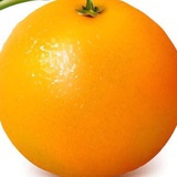 橙橙