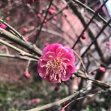 吃瓜群众