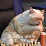 柿子的柿