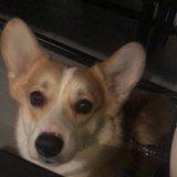 好吃