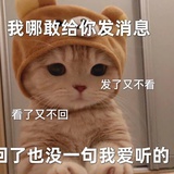 snh48-柒柒