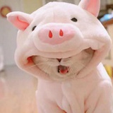 一脸懵
