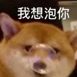 小丢丢丢丢丢丢