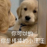 半月女士