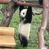 我亦飘零久