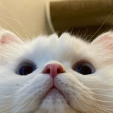行走江湖