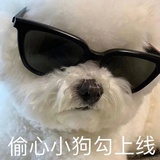快乐天使
