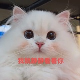 梦露妈咪呀