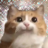今天躺了吗