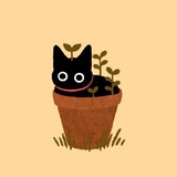 豌豆猫