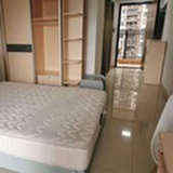 豆豆1560299