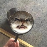 小丸子呀
