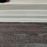 十一年级的