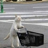 限时致郁