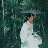 徐凤年