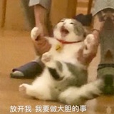 躺在怀里打呼呼