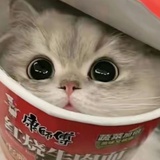 乌鱼子