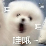 麦子糖桐